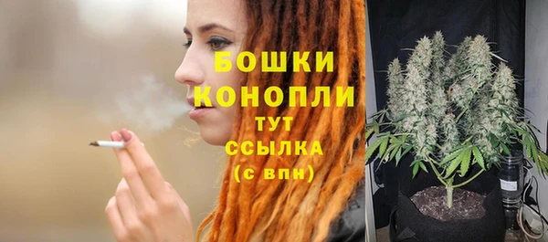 каннабис Белокуриха