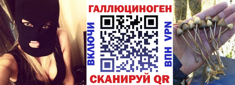 Купить  Советская Гавань  Галлюциногенные грибы MAGIC MUSHROOMS 
