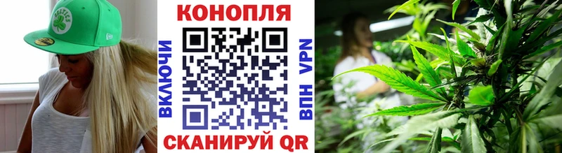 Купить  Советская Гавань  Каннабис ГИДРОПОН 